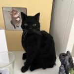 Mini Framed Portrait photo review