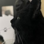 Mini Framed Portrait photo review