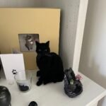 Mini Framed Portrait photo review