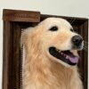 Framed Pet Portrait-Dog