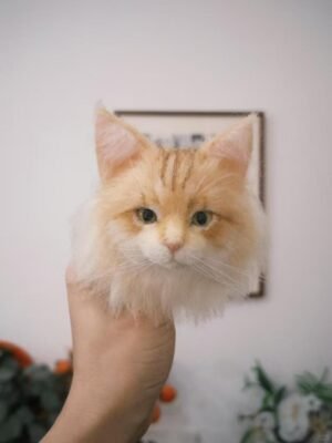 Customized Pet Ornaments