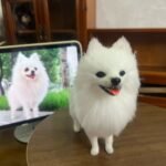 Mini Full Body Figurine (7 -10 cm) photo review