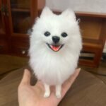 Mini Full Body Figurine (7 -10 cm) photo review