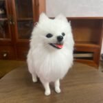 Mini Full Body Figurine (7 -10 cm) photo review