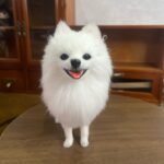 Mini Full Body Figurine (7 -10 cm) photo review