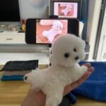 Mini Full Body Figurine (7 -10 cm) photo review