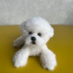 Mini Full Body Figurine (7 -10 cm) photo review