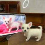 Full Body Figurine photo review