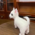 Full Body Figurine photo review