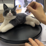 Framed Pet Portrait-Cat photo review