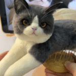 Framed Pet Portrait-Cat photo review