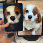 Framed Pet Portrait-Dog photo review