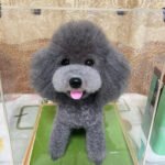 Framed Pet Portrait-Dog photo review