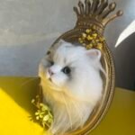 Framed Pet Portrait-Cat photo review