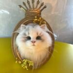 Framed Pet Portrait-Cat photo review