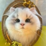 Framed Pet Portrait-Cat photo review