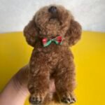 Framed Pet Portrait-Dog photo review