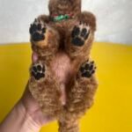 Framed Pet Portrait-Dog photo review