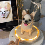 Framed Pet Portrait-Dog photo review