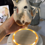 Framed Pet Portrait-Dog photo review