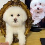 Framed Pet Portrait-Dog photo review