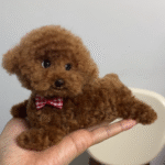 Mini Full Body Figurine (7 -10 cm) photo review