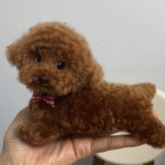 Mini Full Body Figurine (7 -10 cm) photo review