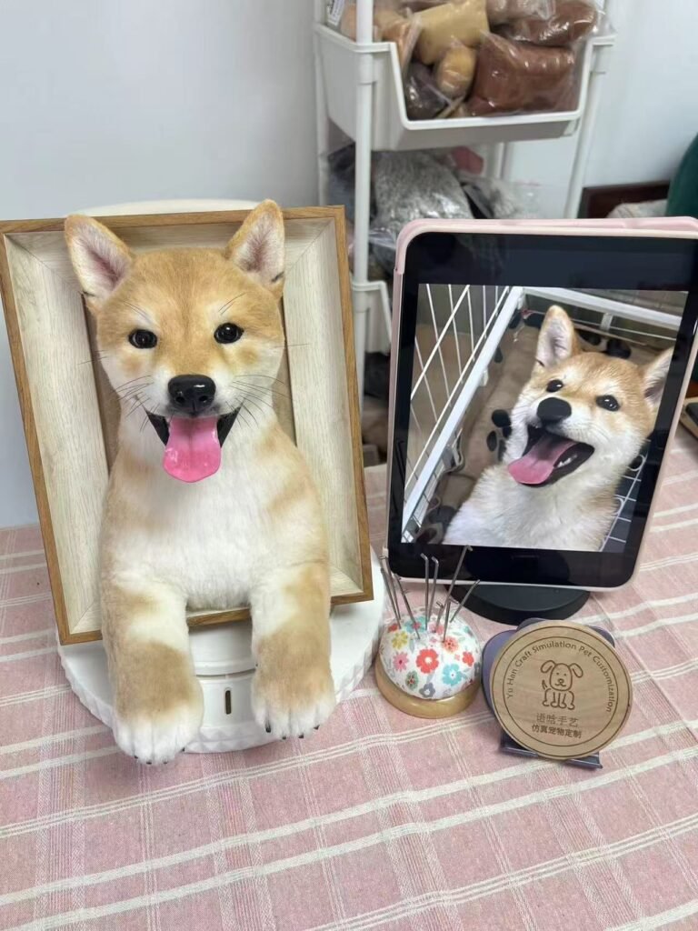 Mini Framed Portrait photo review