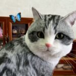 Mini Full Body Figurine (7 -10 cm) photo review