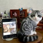 Mini Full Body Figurine (7 -10 cm) photo review