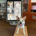 Mini Framed Portrait photo review