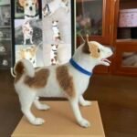 Mini Framed Portrait photo review