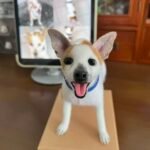 Mini Framed Portrait photo review