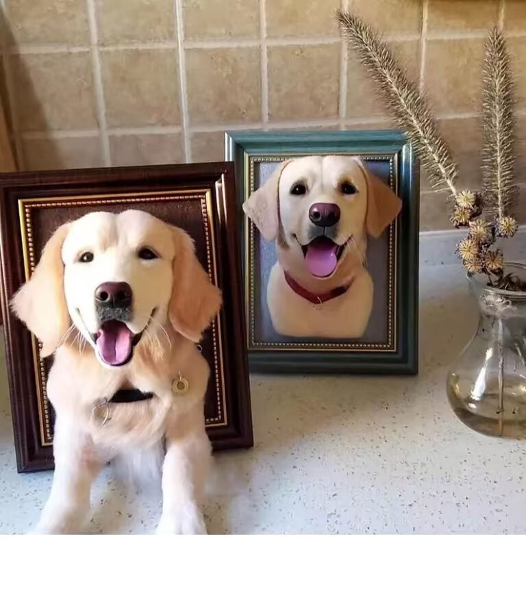 Customized Pet Ornaments photo review