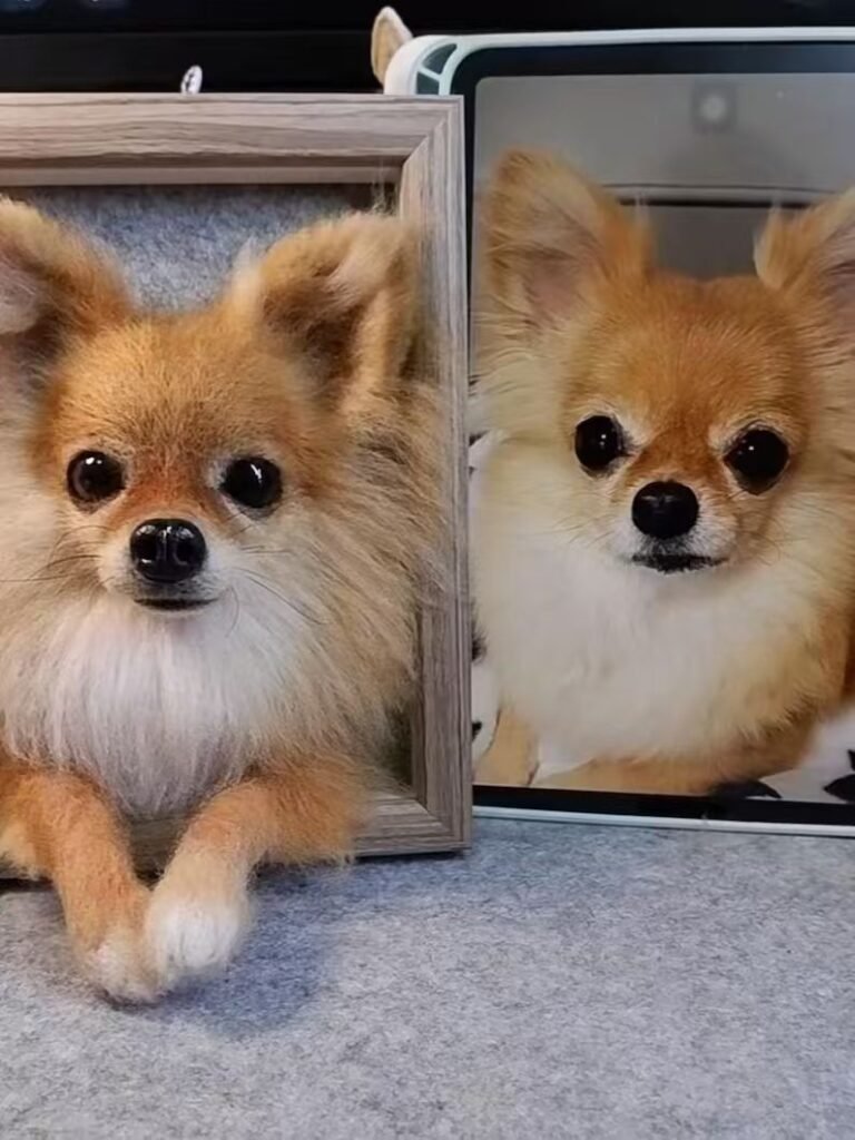 Customized Pet Ornaments photo review